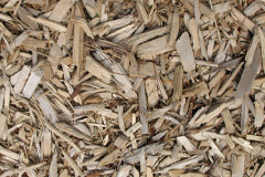 biomass boilers Tregorrick