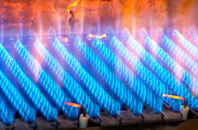 Tregorrick gas fired boilers